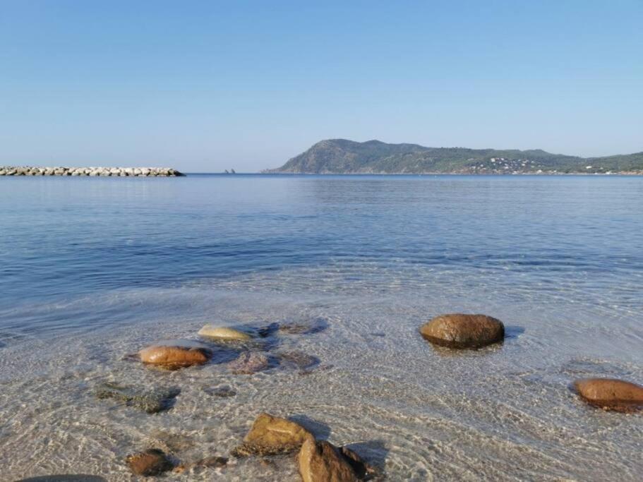 Studio Zen Sud Plage A Pied Pin Rolland Sablettes Saint-Elme Ngoại thất bức ảnh