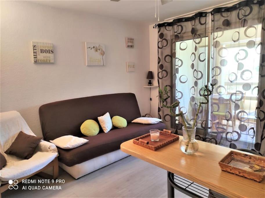 Studio Zen Sud Plage A Pied Pin Rolland Sablettes Saint-Elme Ngoại thất bức ảnh